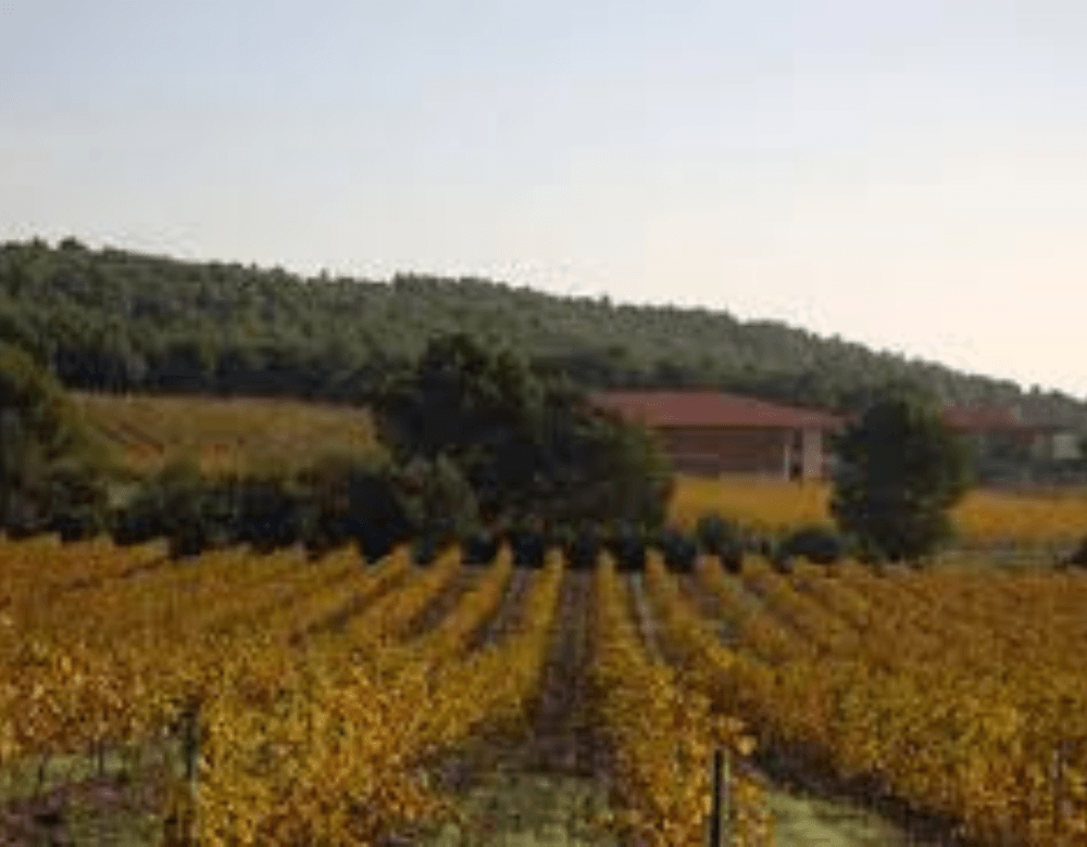 Domaine Gardiés